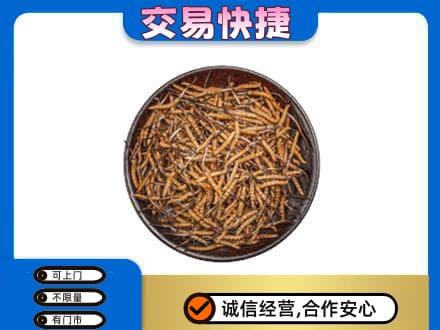 定西市通渭回收散虫草